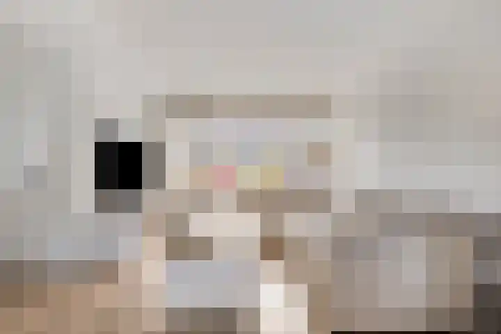 Antwerpenlaan 77 Eindhoven thumbnail 10