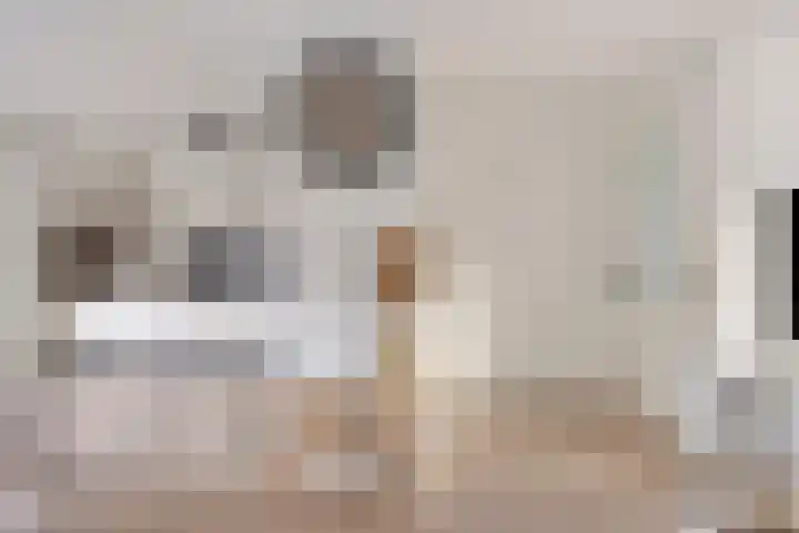 Antwerpenlaan 77 Eindhoven thumbnail 11
