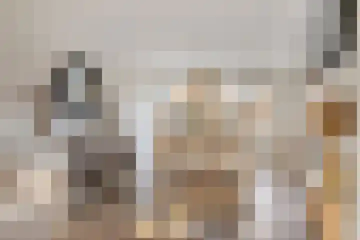 Antwerpenlaan 77 Eindhoven thumbnail 12