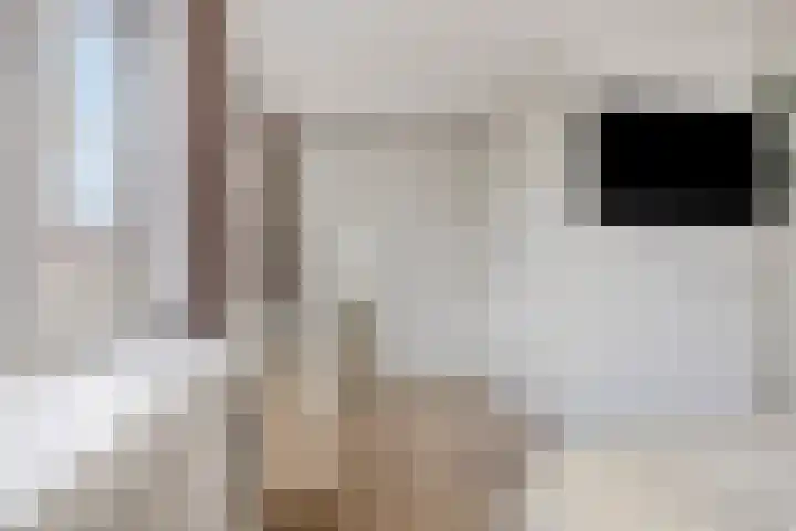 Antwerpenlaan 77 Eindhoven thumbnail 20
