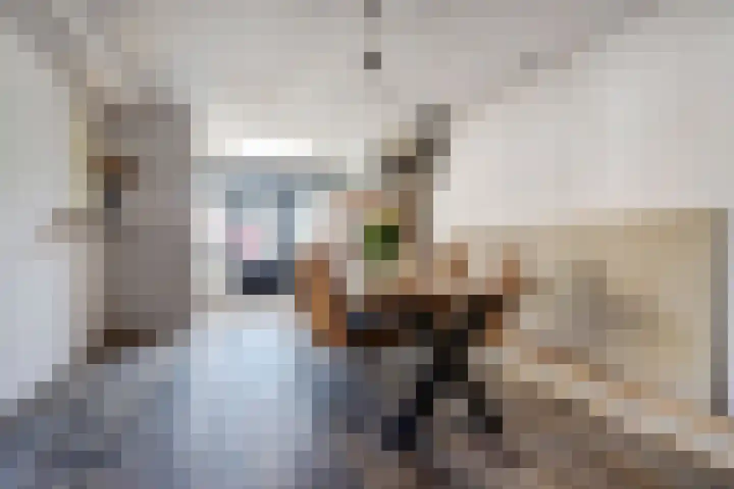 Antwerpsestraat 102 Putte thumbnail 14