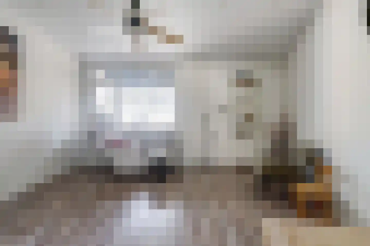 Antwerpsestraat 102 Putte thumbnail 21