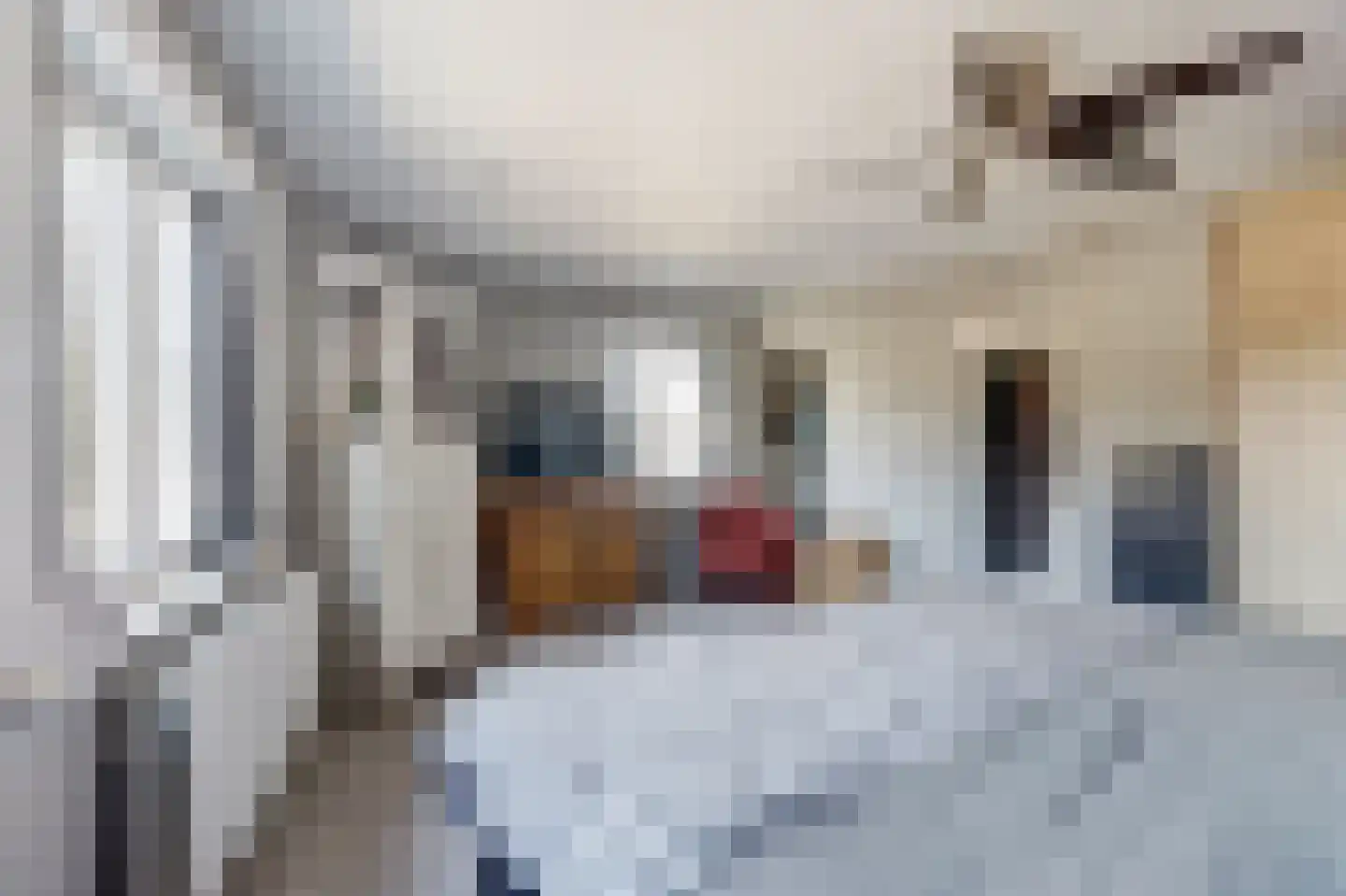 Antwerpsestraat 102 Putte thumbnail 24