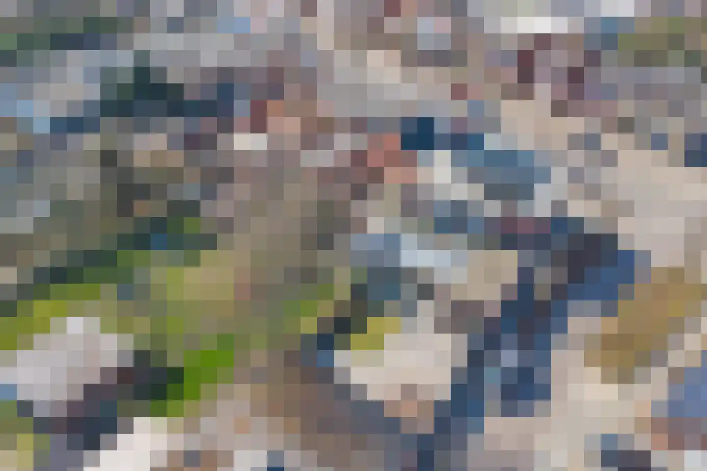Antwerpsestraat 102 Putte thumbnail 4