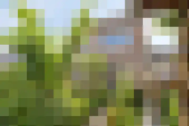 Antwerpsestraat 50 Made thumbnail 32