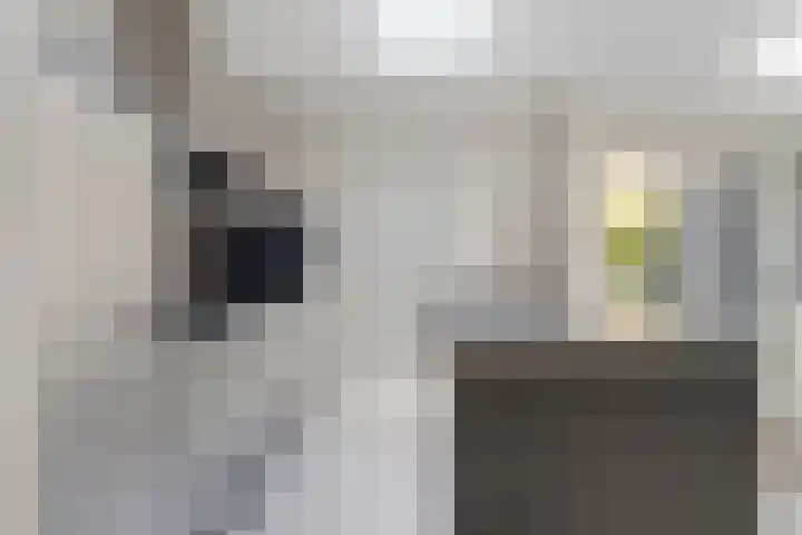 Antwerpsestraat 85 Putte thumbnail 17