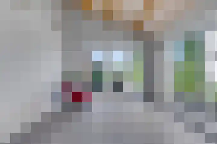 Antwerpsestraat 85 Putte thumbnail 22