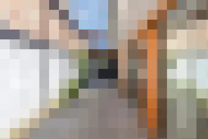 Antwerpsestraat 85 Putte thumbnail 34