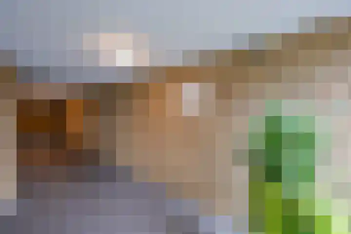 Anubisstraat 200 Almere thumbnail 28