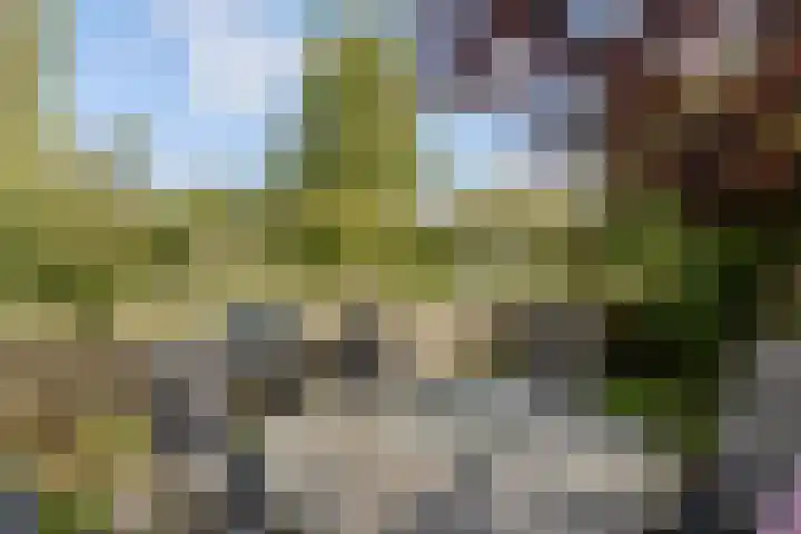 Anzarstraat 16 Almere thumbnail 56