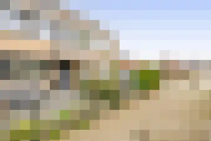 Aphrodite 2 Hellevoetsluis thumbnail 5