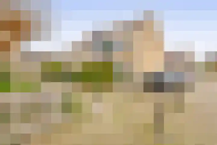 Aphrodite 2 Hellevoetsluis thumbnail 8
