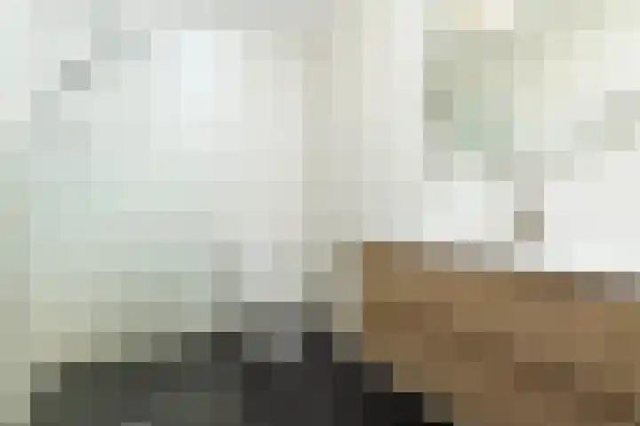 Apollo 27 Elst thumbnail 22