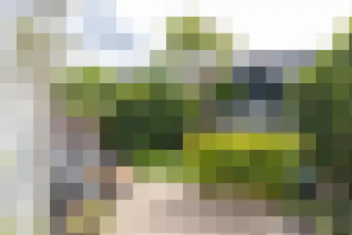 Apollo 41 Soesterberg