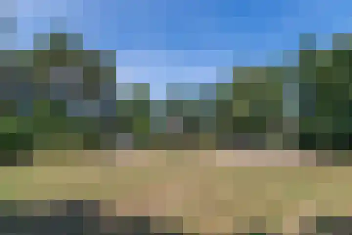 Apollo 41 Soesterberg thumbnail 28