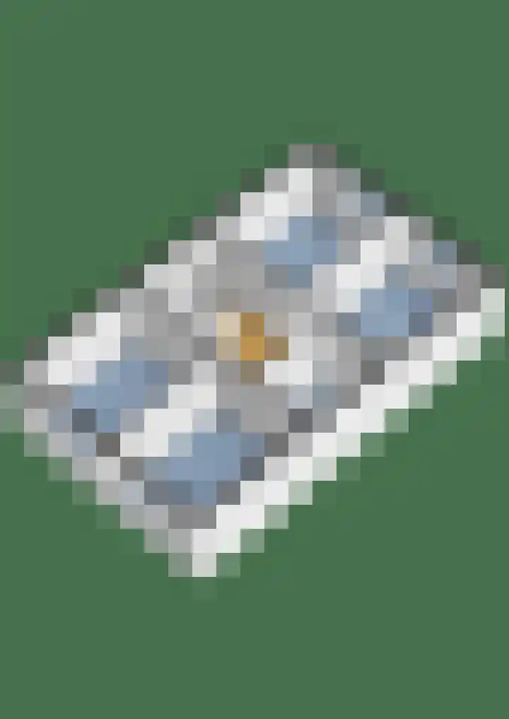 Apollo 41 Soesterberg thumbnail 32