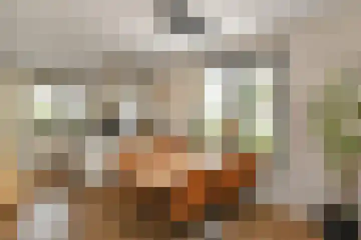 Apollo 5 Elst thumbnail 12