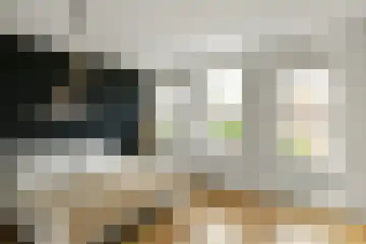 Apollo 5 Elst thumbnail 17