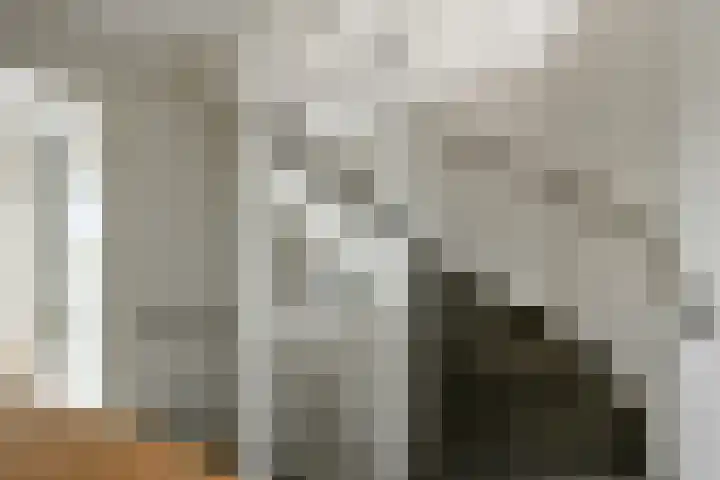 Apollo 5 Elst thumbnail 28
