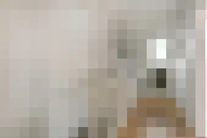 Apollo 5 Elst thumbnail 29