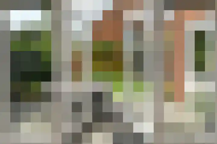 Apollo 5 Elst thumbnail 32