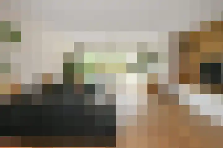 Apollo 5 Elst thumbnail 6
