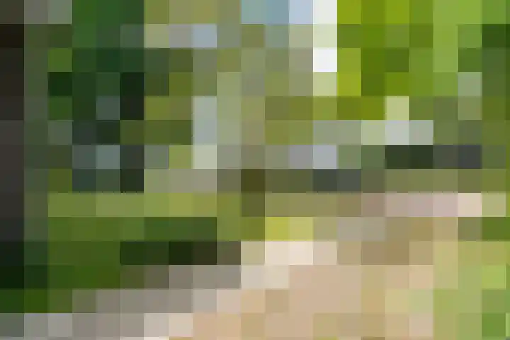 Apollo 82 Soesterberg thumbnail 17