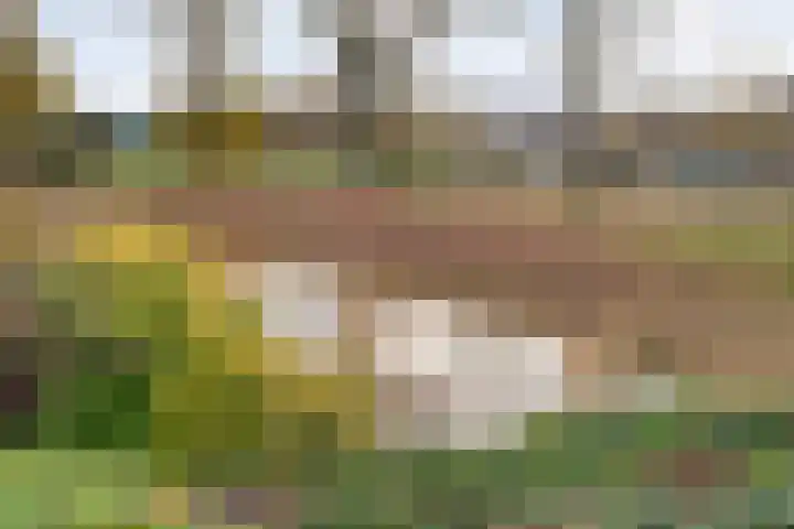 Apollo 82 Soesterberg thumbnail 31