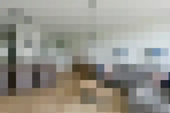 Apollo 82 Soesterberg thumbnail 6