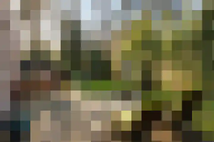 Apollo 91 Soesterberg foto 2