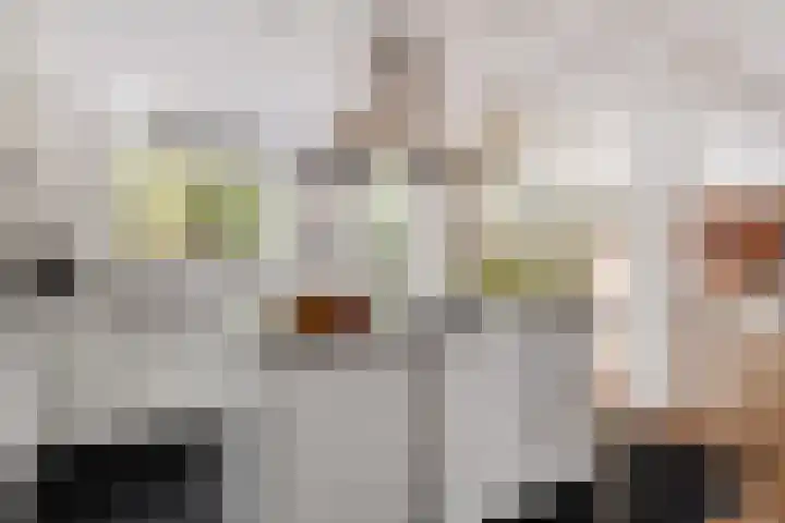 Apollo 91 Soesterberg foto 3