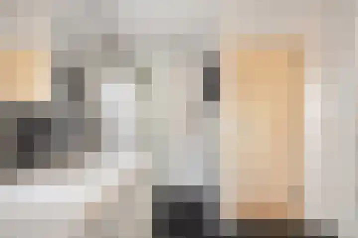 Apollo 91 Soesterberg thumbnail 30