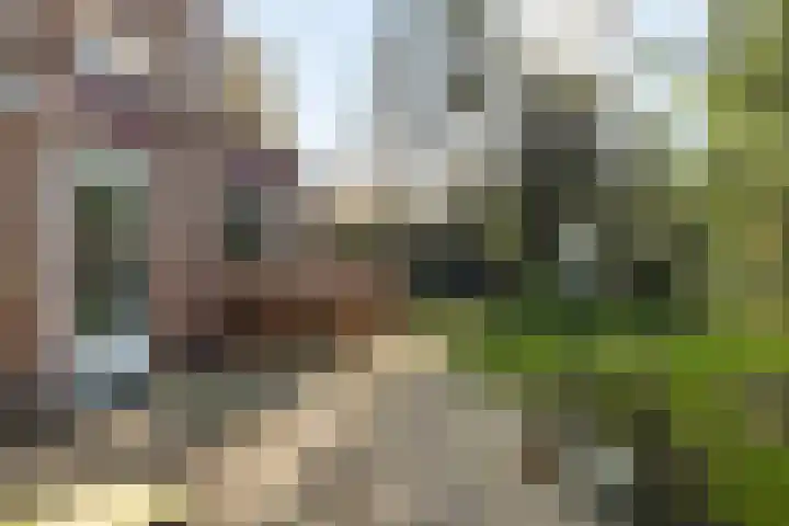 Apollo 91 Soesterberg thumbnail 37