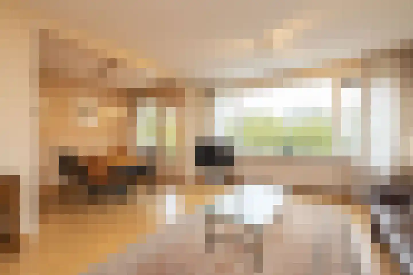 Apollolaan 86 Leiden thumbnail 16