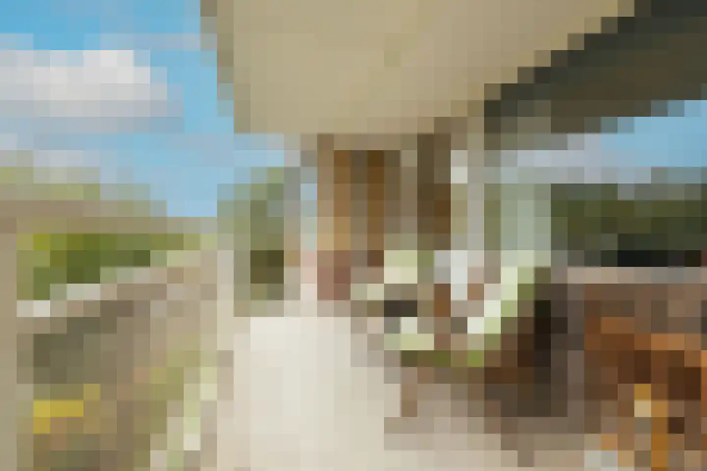 Apollolaan 86 Leiden thumbnail 20