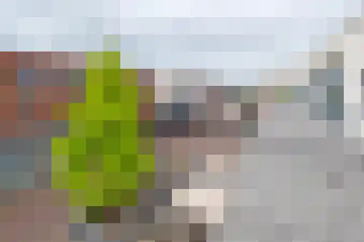 Apollopad 46 Assen thumbnail 32