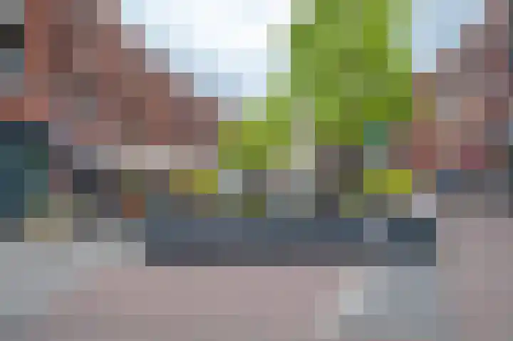 Apollopad 46 Assen thumbnail 39