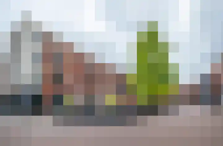 Apollopad 46 Assen thumbnail 43
