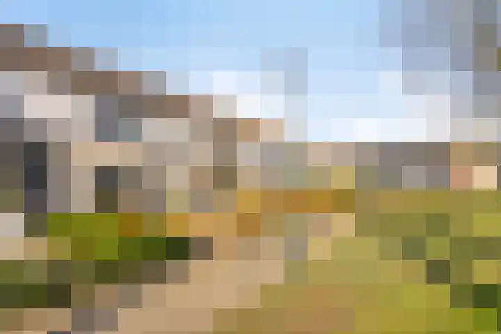 Apollopad 47 Boxtel thumbnail 10