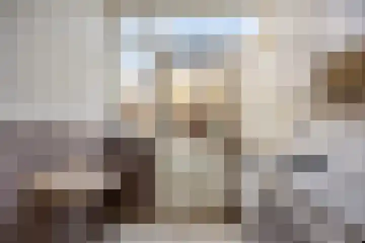 Apollopad 47 Boxtel thumbnail 18