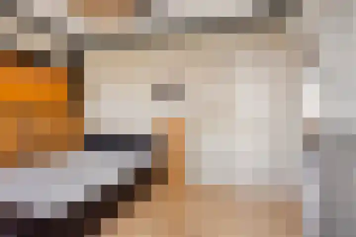 Apollopad 47 Boxtel thumbnail 28