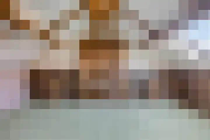 Apollopad 47 Boxtel thumbnail 7