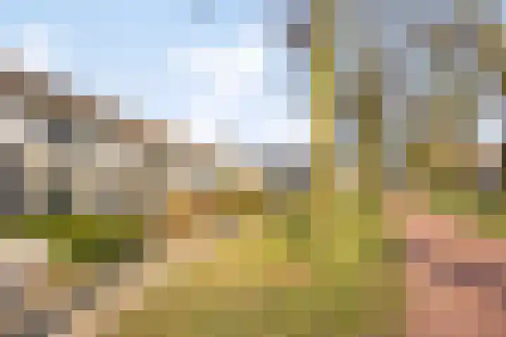 Apollopad 47 Boxtel thumbnail 9