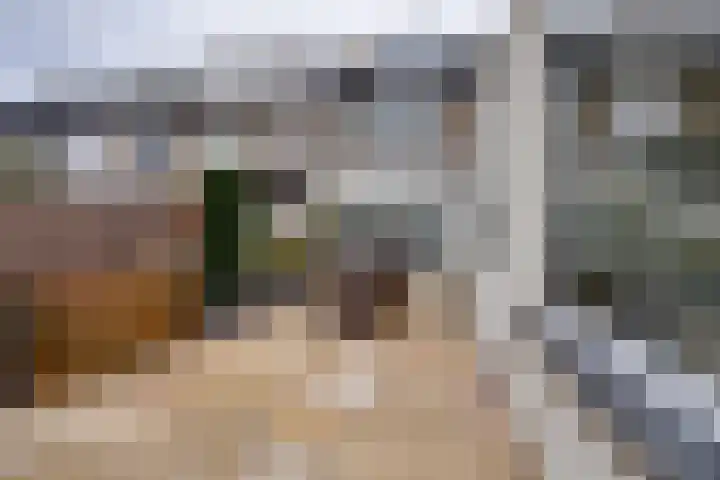 Apolloplantsoen 14 Volendam thumbnail 28