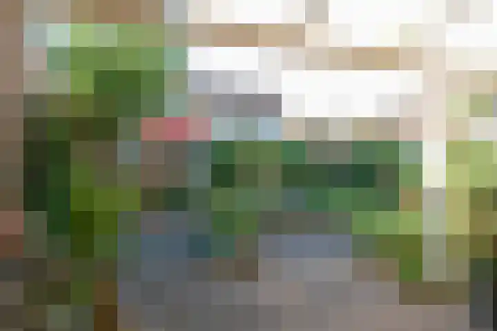 Apollostraat 12 Heel thumbnail 10