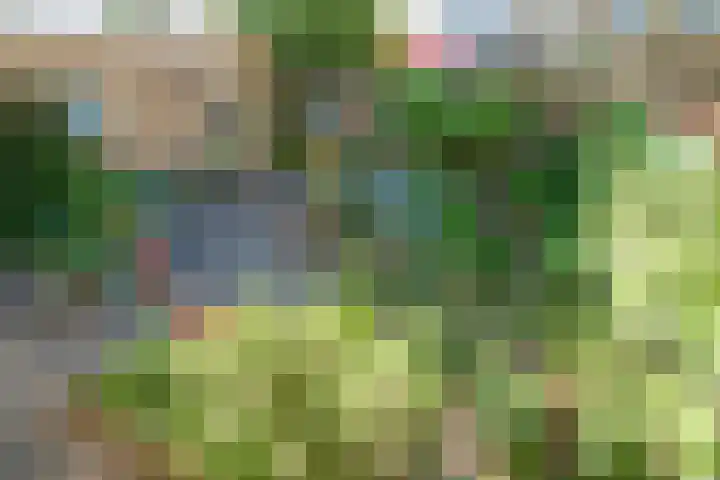 Apollostraat 12 Heel thumbnail 13