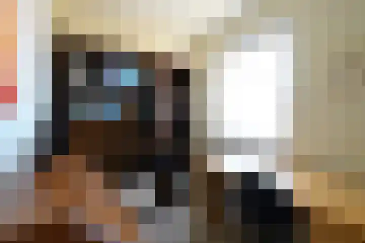 Apollostraat 12 Heel thumbnail 16
