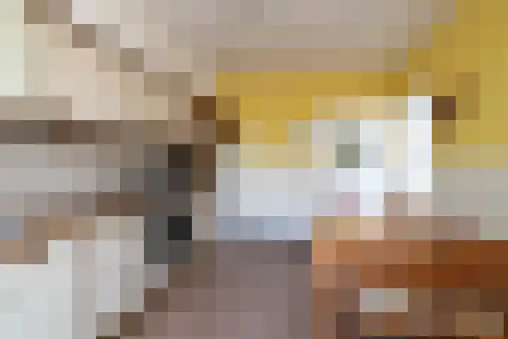 Apollostraat 12 Heel thumbnail 8