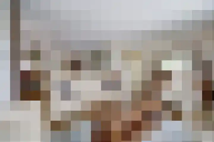 Apollostraat 39 Strijen thumbnail 12