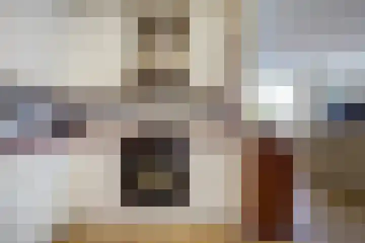 Apollostraat 39 Strijen thumbnail 16